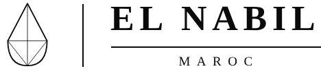 logo el nabil maroc